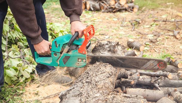 Человек режет дрова бензопилой.  - Фото, изображение