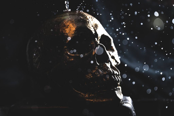 A closeup shot of a human skull on a black background - Photo, Image