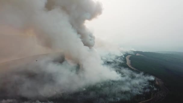 Epic Forest Australian Wildfire Drone View, σύννεφο καπνού, πετούν πάνω από την καταστροφή με καύση - Πλάνα, βίντεο