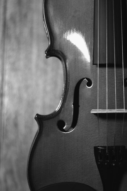 Λεπτομέρειες για ένα βιολί 4 έγχορδα μουσικά όργανα με ξύλο σε φόντο ασπρόμαυρο - Φωτογραφία, εικόνα