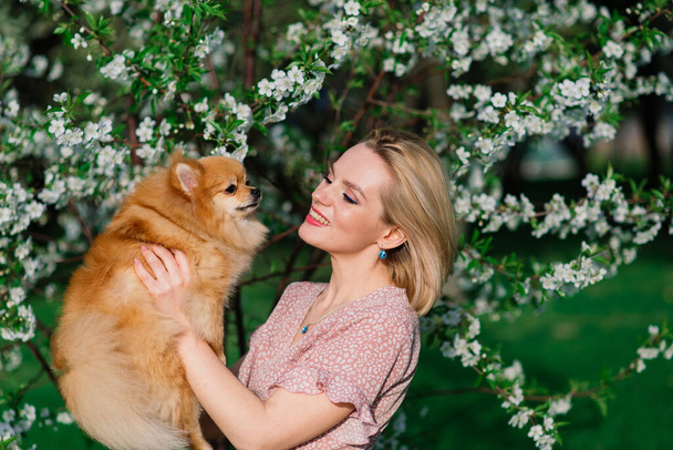 Attractive young woman holding dog spitz outside and smiling at camera, walking in the park. Concept about friendship between people and animals. - Φωτογραφία, εικόνα