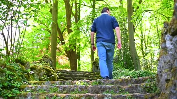Człowiek wchodzi po kamiennych schodach w zielonym parku, a na skraju znajduje się stary kamienny mur z kamienia i kamieni. - Materiał filmowy, wideo