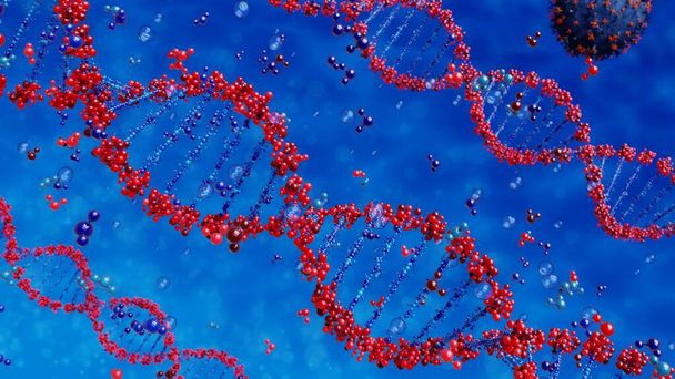 wirus niszczy ludzki łańcuch DNA. Struktura genomu. - Zdjęcie, obraz