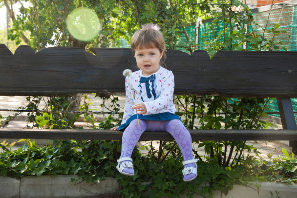 Summer fun, sweet little girl blowing dandelion. girl and dandelion - Foto, Bild