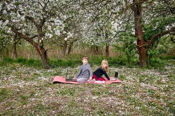 女の子と男の子はノートパソコンの後ろに座って開花庭で勉強します。緑の草や開花の木の背景に。リモートエンターテイメント. - 写真・画像