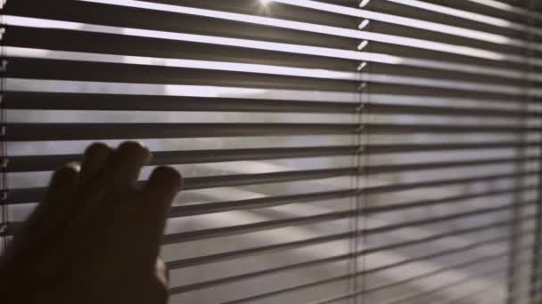 Άνοιγμα μιας ρωγμής στα blinds παραθύρων για να κρυφοκοιτάξεις - Πλάνα, βίντεο