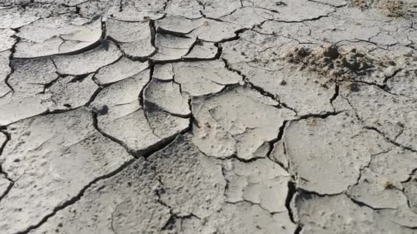 Desastre ecológico, dibujo de tierra seca - Imágenes, Vídeo