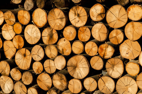 hromada dřeva v době západu slunce - Fotografie, Obrázek