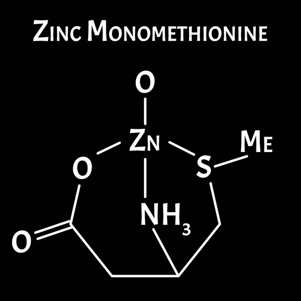 Çinko monomethionin moleküler bir kimyasal formüldür. Çinko bilgi grafikleri. İzole edilmiş arkaplanda vektör illüstrasyonu. - Vektör, Görsel