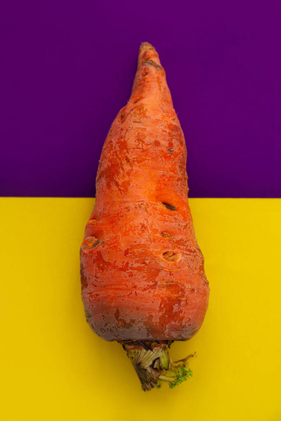 Ugly food. Deformed organic carrots on the pastel violet and yellow background duotone. Bright juicy colors. Misshapen produce, food waste problem concept. Minimal style pop art. Flat lay, top view. - Foto, Imagem