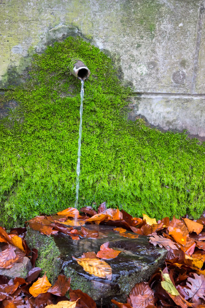 καθαρό πόσιμο νερό από την πηγή νερού με πράσινα βρύα - Φωτογραφία, εικόνα