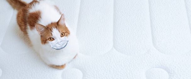 Cat in a medical mask resting on bed in the house. The concept of quarantine and pandemic Covid-19 - 写真・画像
