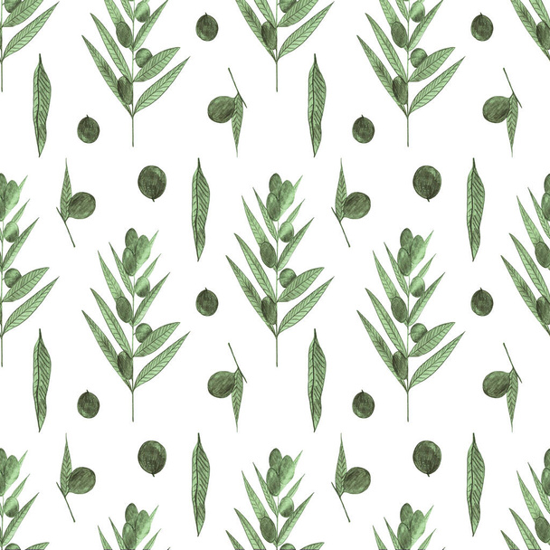 Gałęzie oliwne bezszwowy wzór rysowany prostym ołówkiem. Druk z oliwek do tkanin, wzorów kuchennych, tkanin, opakowań, tapet - Zdjęcie, obraz