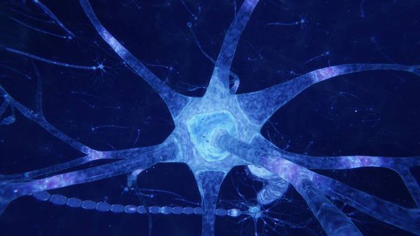 3d renderen hersenneuronen met synapsen en axonen - Foto, afbeelding
