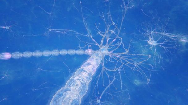 3d renderowanie neuronów mózgowych synapsami i aksonami - Zdjęcie, obraz