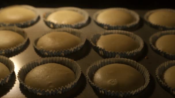 Muffins baking in oven, time lapse. - Footage, Video
