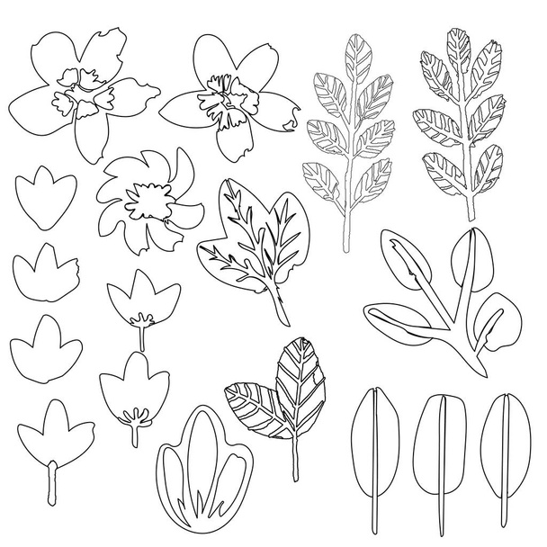 Collection with hand drawn isolated floral elements. Outline sketch. For coloring book. Ecology botany set. Decorative spring, summer, autumn and tropical flowers, branches and leaves. Doodle style - Vector, afbeelding