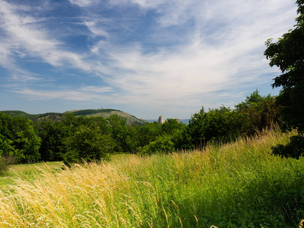 Zamek Sierocy - romantyczna ruina w Palavie i Devin najwyższa góra Pavlov Hills, Republika Czeska, wakacje turystyczne - Zdjęcie, obraz