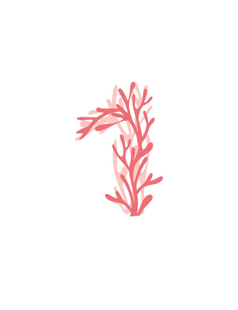 Numero 1 rosa alghe marine colorate subacquee oceano pianta mare corallo elementi piatto vettore illustrazione su sfondo bianco
. - Vettoriali, immagini