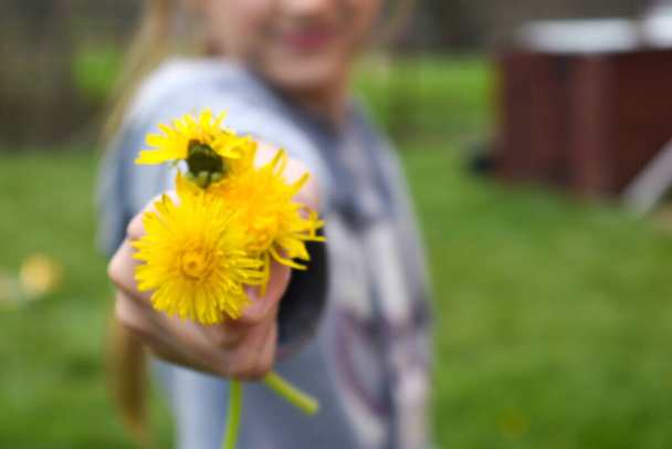 a small bouquet of dandelions in hand girls. Baby with yellow flowers - Foto, Imagem