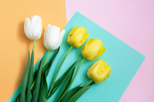 Buquê de tulipas de primavera brancas e amarelas no fundo a cores. flores de primavera. Páscoa, Valentine, 8 de março, feliz aniversário, conceito de feriados. Espaço de cópia
 - Foto, Imagem