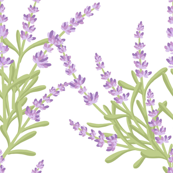 Απρόσκοπτη μοτίβο με άνθη λεβάντας καλοκαίρι φυτικά φυσικό μπουκέτο επίπεδη διανυσματική απεικόνιση σε λευκό φόντο. - Διάνυσμα, εικόνα