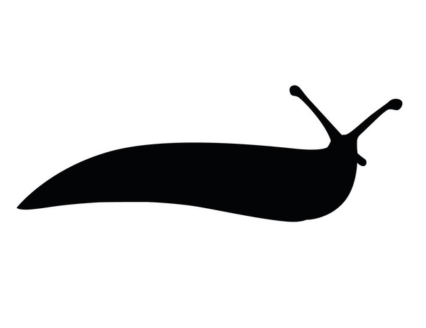 Black silhouette slug cartoon animal design flat vector illustration isolated on white background - Vector, Image