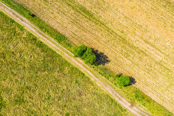 Vista aérea de una carretera de campo a través de un bosque de abeto y un campo verde en verano
 - Foto, imagen
