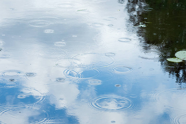 rainy background with ripples. Reflection of the sky in the water with leaves of water lilies. - Photo, Image