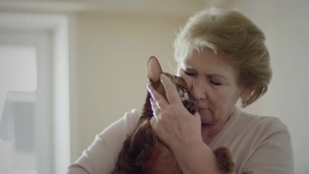 Starsza kobieta z kotem - Materiał filmowy, wideo