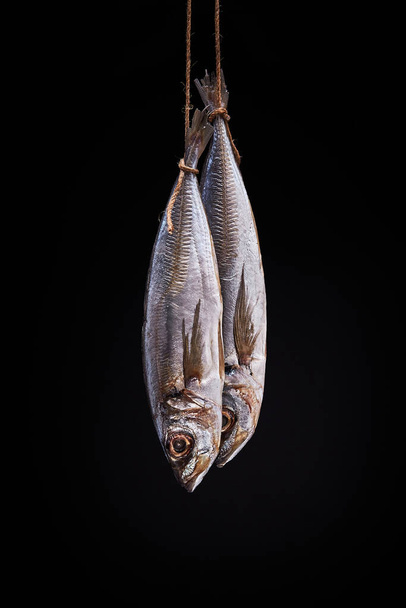 Salty horse mackerels suspended on ropes isolated on a black background. - Foto, Imagen
