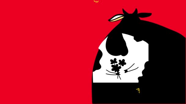 Beweging van elementen vormen animatie van vet vrouwelijke koe coming to Pieces met lange wimpers gelukkig glimlach paarse vlekken en het houden van een boeket van madeliefjes over een glanzende rode achtergrond - Video