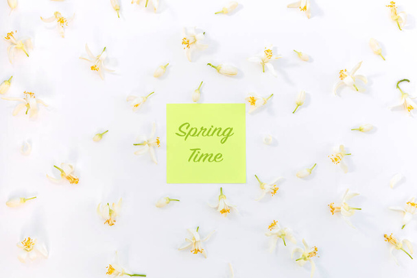 Floral pattern with green paper blank "spring time" in center. white almond flowers with yellow center on white background. Flat lay, top view.  - Photo, image