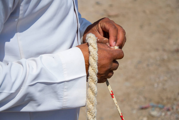 Egipski beduiński przewodnik wielbłąda trzymający w dłoniach drążek liny. - Zdjęcie, obraz