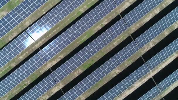 Bovenuitkijkend vanuit de lucht op zonnige dag op het veld van de zonnecentrale. Bovenaanzicht vanuit de lucht van Solar Farm. Technologie voor hernieuwbare energie. Breed schot - Video
