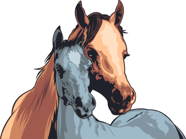 dos caballos (cabezas
) - Vector, Imagen