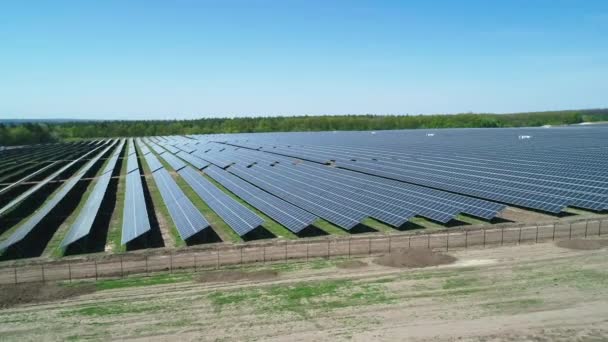 Luchtfoto van het veld van de zonnecentrale op zonnige dag. Bovenaanzicht vanuit de lucht van Solar Farm. Technologie voor hernieuwbare energie. Breed schot - Video