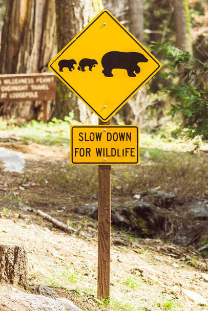 orso segno sulla strada nel parco nazionale
. - Foto, immagini
