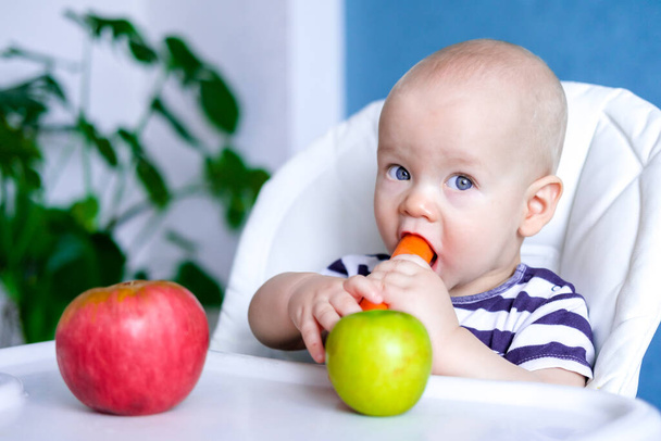 Comida para bebés. Pequeño niño caucásico más lindo comiendo zanahoria y manzana verde comida saludable. mirando a la cámara en la trona. Verduras y frutas frescas. Niños recién nacidos
 - Foto, imagen