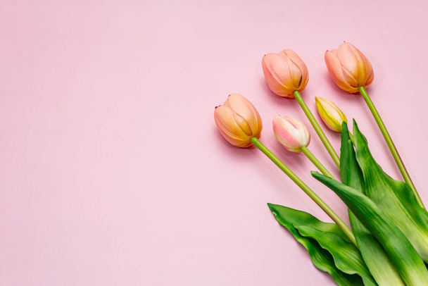 Greetings card, wallpaper, backdrop. Happy Mothers Day, Easter, St.Valentines or Wedding. Gentle pink tulips on rosy background - Photo, image