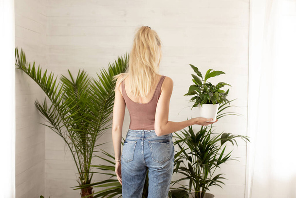 Mujer joven sosteniendo planta verde, de pie. Concepto de jardinería doméstica. Amante de la naturaleza
. - Foto, Imagen