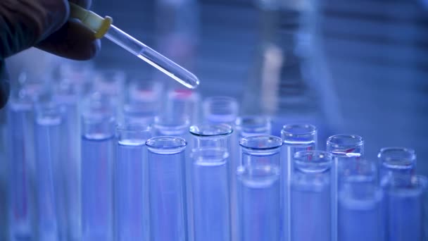 Egy laboratóriumban egy pipettával rendelkező tudós egy kék folyadékot analizál, hogy kinyerje a DNS-t és a molekulákat a kémcsövekben. Az orvos folyadékkal dolgozik. - Felvétel, videó