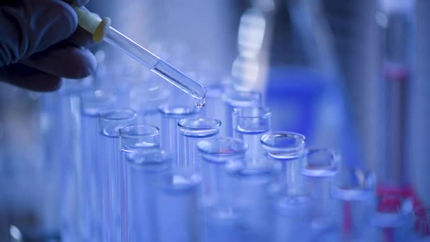 Laboratoriossa pipetillä varustettu tiedemies analysoi sinisen nesteen DNA:n ja molekyylien saamiseksi koeputkista. Nestettä työstävä lääkäri
. - Materiaali, video