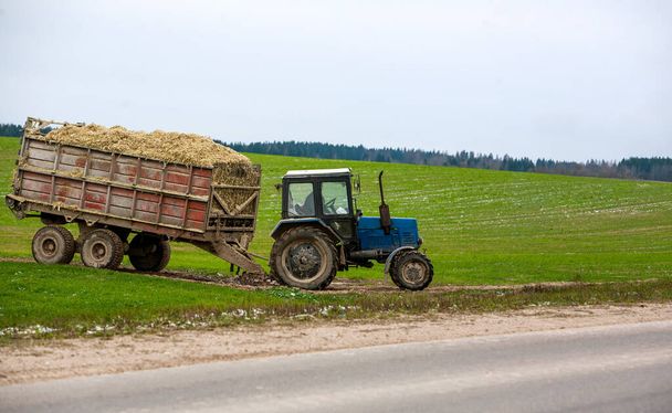 Niebieski traktor z sianem opuszczający zielone pole na asfaltowej drodze. Duża przyczepa na kołach. Tło lasu. - Zdjęcie, obraz