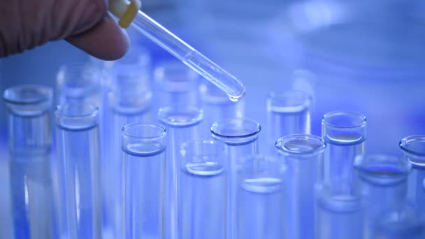 In laboratorio, uno scienziato con una pipetta analizza un liquido blu per estrarre il DNA e le molecole nelle provette. Medico che lavora con liquido
. - Filmati, video