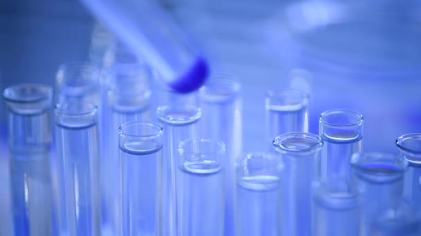 En un laboratorio, un científico con una pipeta analiza un líquido azul para extraer el ADN y las moléculas de los tubos de ensayo. Médico trabajando con líquido
. - Metraje, vídeo