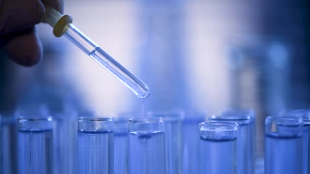 Bir laboratuarda, pipetli bir bilim adamı test tüplerindeki DNA ve molekülleri ayırmak için mavi bir sıvıyı analiz eder. Sıvıyla çalışan doktor.. - Video, Çekim