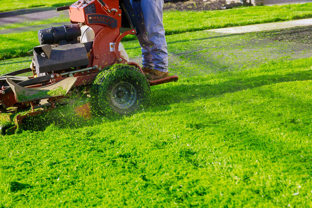 Homem cortando grama em seu quintal cortar grama primavera com cortador de grama
 - Foto, Imagem