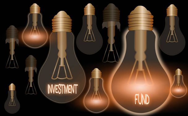 Schriftzug mit Investitionsfonds. Business-Foto, das das Kapitalangebot zahlreicher Investoren zeigt. - Foto, Bild