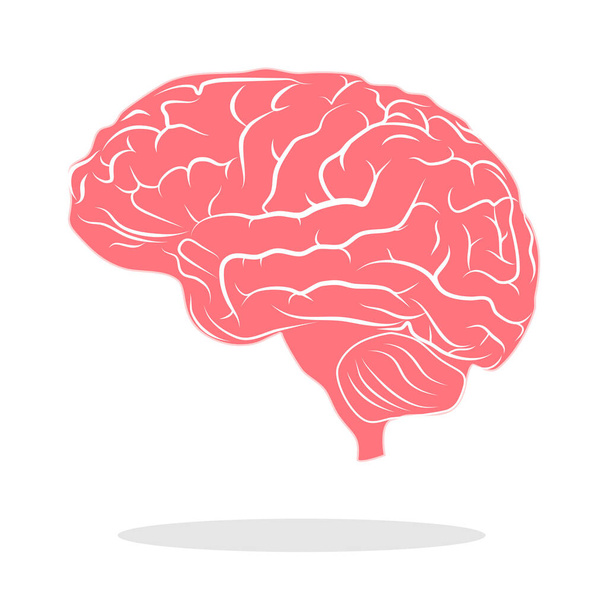 ベクトルカラー脳イラスト白い背景に脳のコンセプトロゴ - ベクター画像